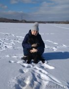 Превью фото № 234048