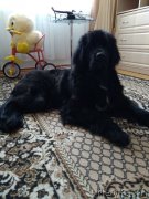 Превью фото № 234054