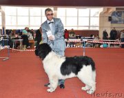 Превью фото № 234104