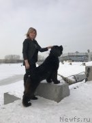 Превью фото № 234136