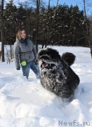 Превью фото № 234165