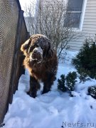 Превью фото № 234169