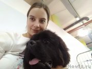 Превью фото № 234222