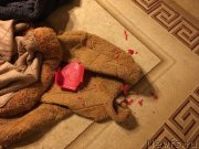 Превью фото № 234226