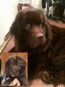 Превью фото № 234243