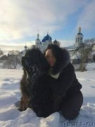 Превью фото № 234250