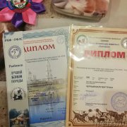 Превью фото № 234253