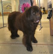 Превью фото № 234256