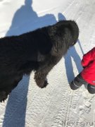 Превью фото № 234267