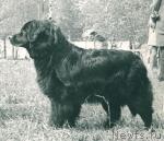 Превью фото № 2343