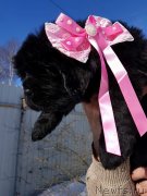 Превью фото № 234369