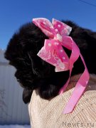 Превью фото № 234371