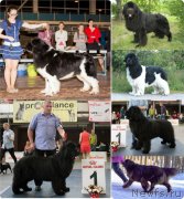 Превью фото № 234375