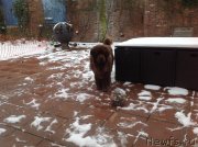 Превью фото № 234407