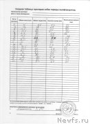 Превью фото № 234482