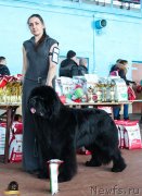 Превью фото № 234502