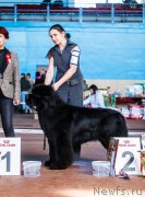 Превью фото № 234503