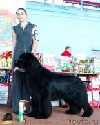 Превью фото № 234505