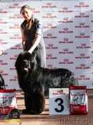 Превью фото № 234510