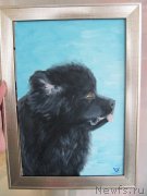 Превью фото № 234548