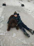 Превью фото № 234570