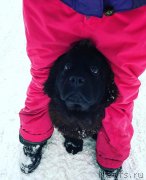 Превью фото № 234598