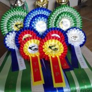 Превью фото № 234619