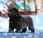 Превью фото № 234638