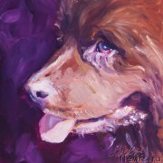 Превью фото № 234695