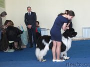 Превью фото № 234709