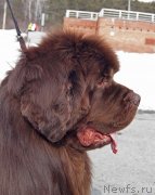 Превью фото № 234718