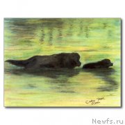 Превью фото № 234767