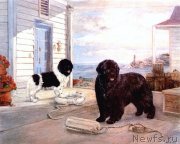 Превью фото № 234800