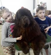 Превью фото № 234811