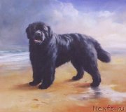 Превью фото № 234812