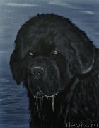 Превью фото № 234853