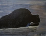 Превью фото № 234856