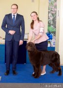 Превью фото № 234860