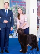 Превью фото № 234862