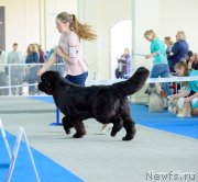 Превью фото № 234864