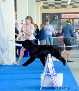 Превью фото № 234867