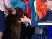 Превью фото № 234875