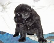 Превью фото № 234898