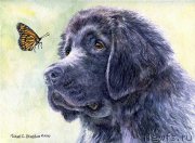 Превью фото № 234926