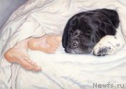 Превью фото № 234927