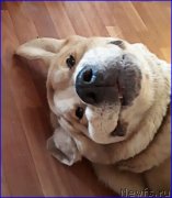 Превью фото № 234949