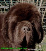 Превью фото № 234980