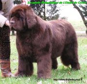 Превью фото № 234985