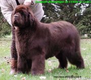 Превью фото № 234986