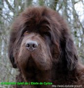 Превью фото № 234987